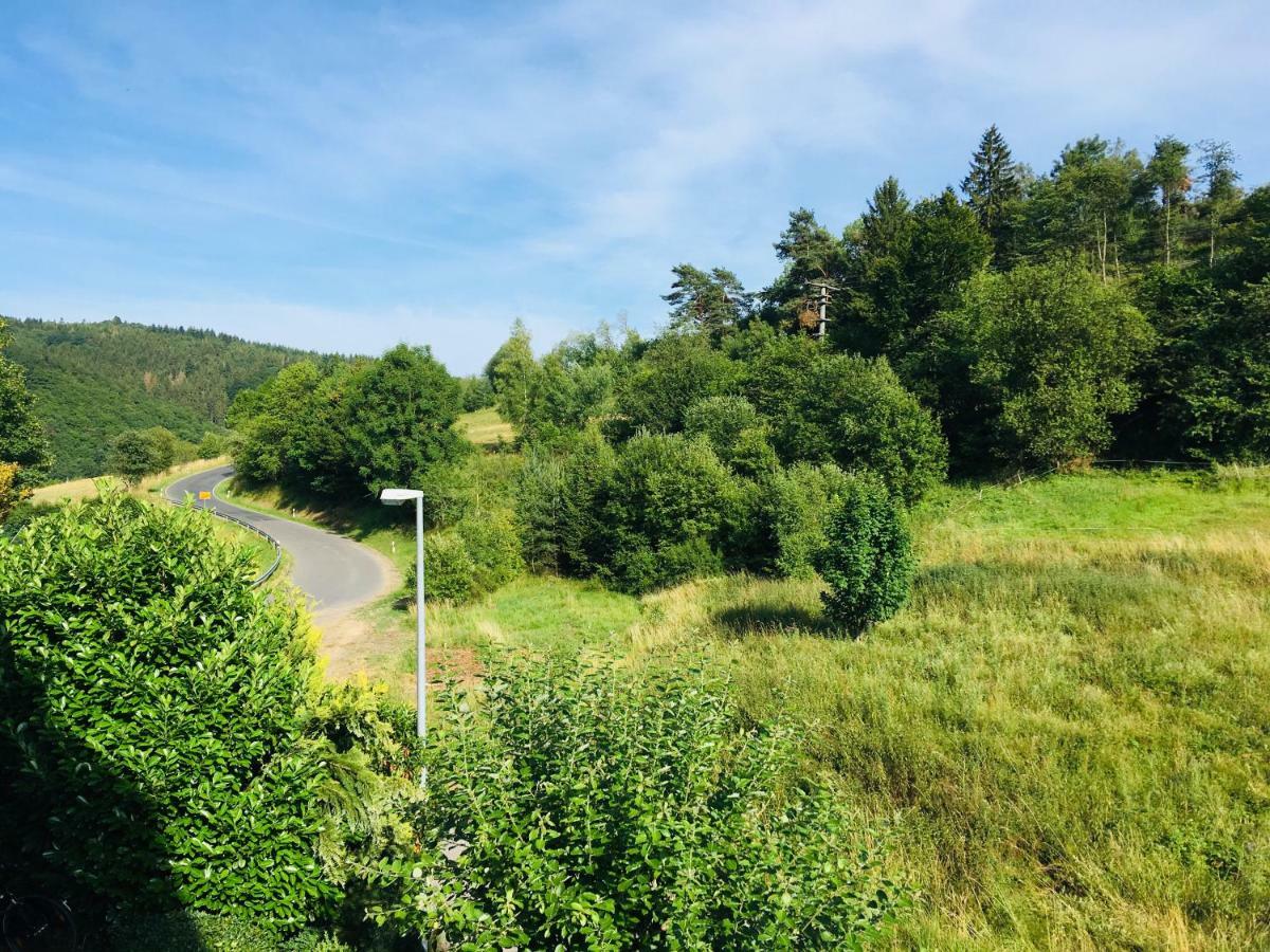 Ferienwohnung Am Nuerburgring/Wintersport Arft Acht Екстер'єр фото